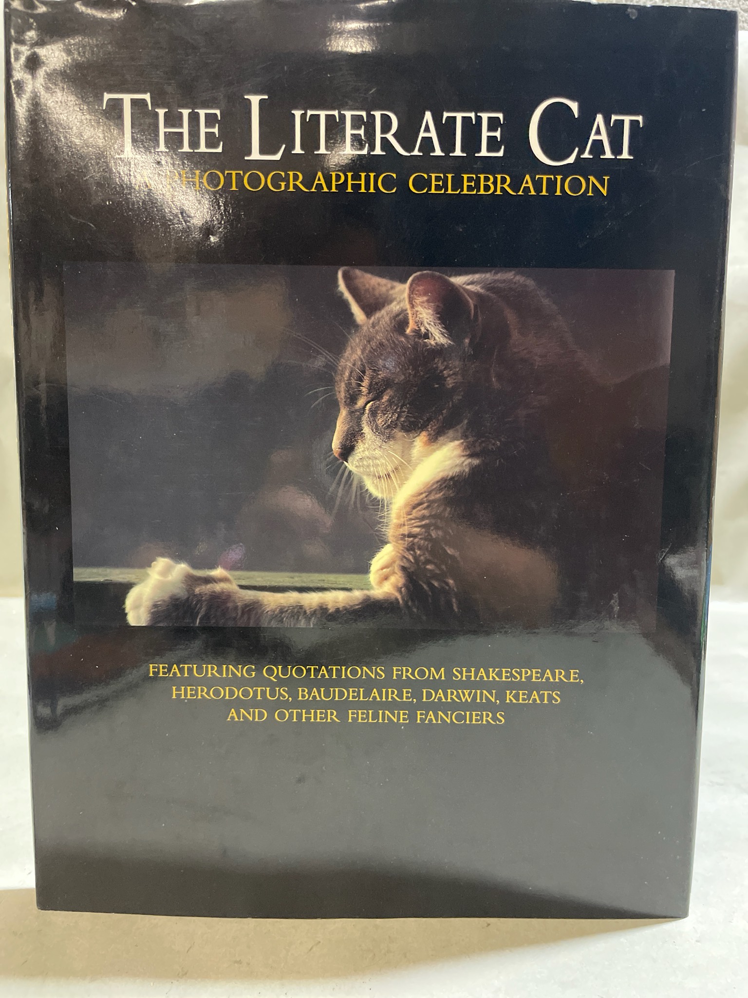 The Literate Cat Photographic Celebration