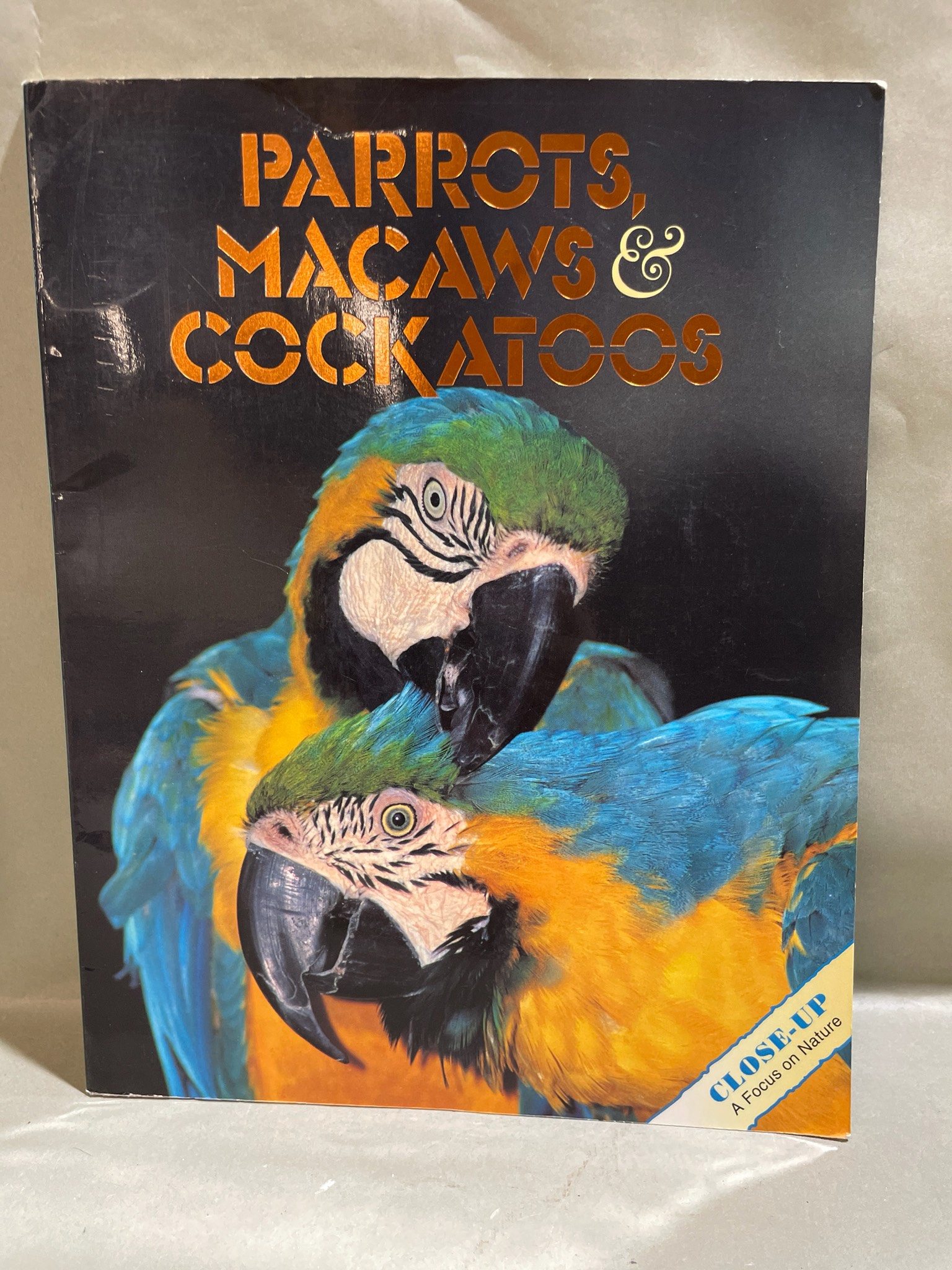 Parrots Macaws and Cockatoos Bird Book