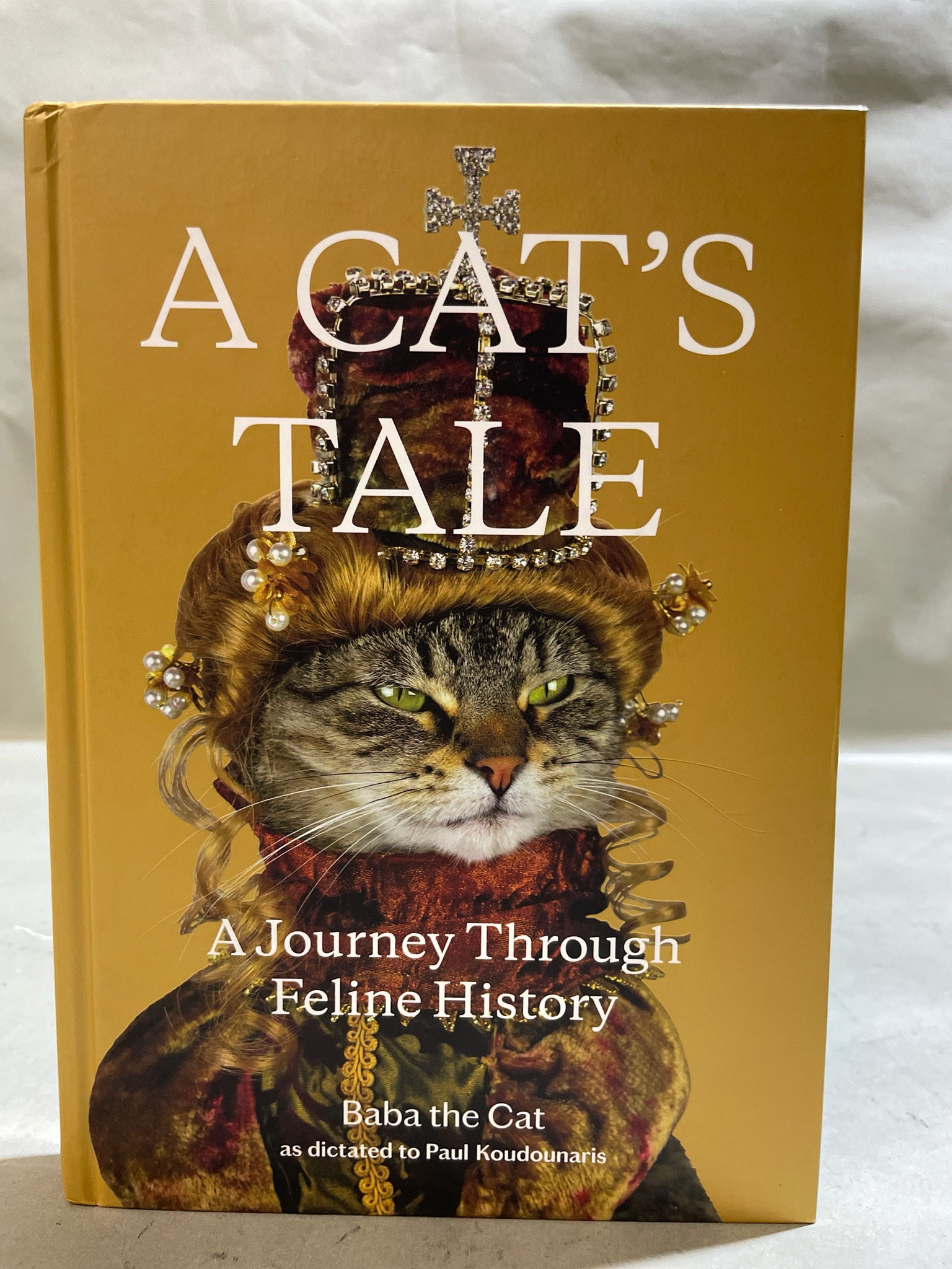 Henry Holt A Cat’s Tale Feline History Hardcover Book
