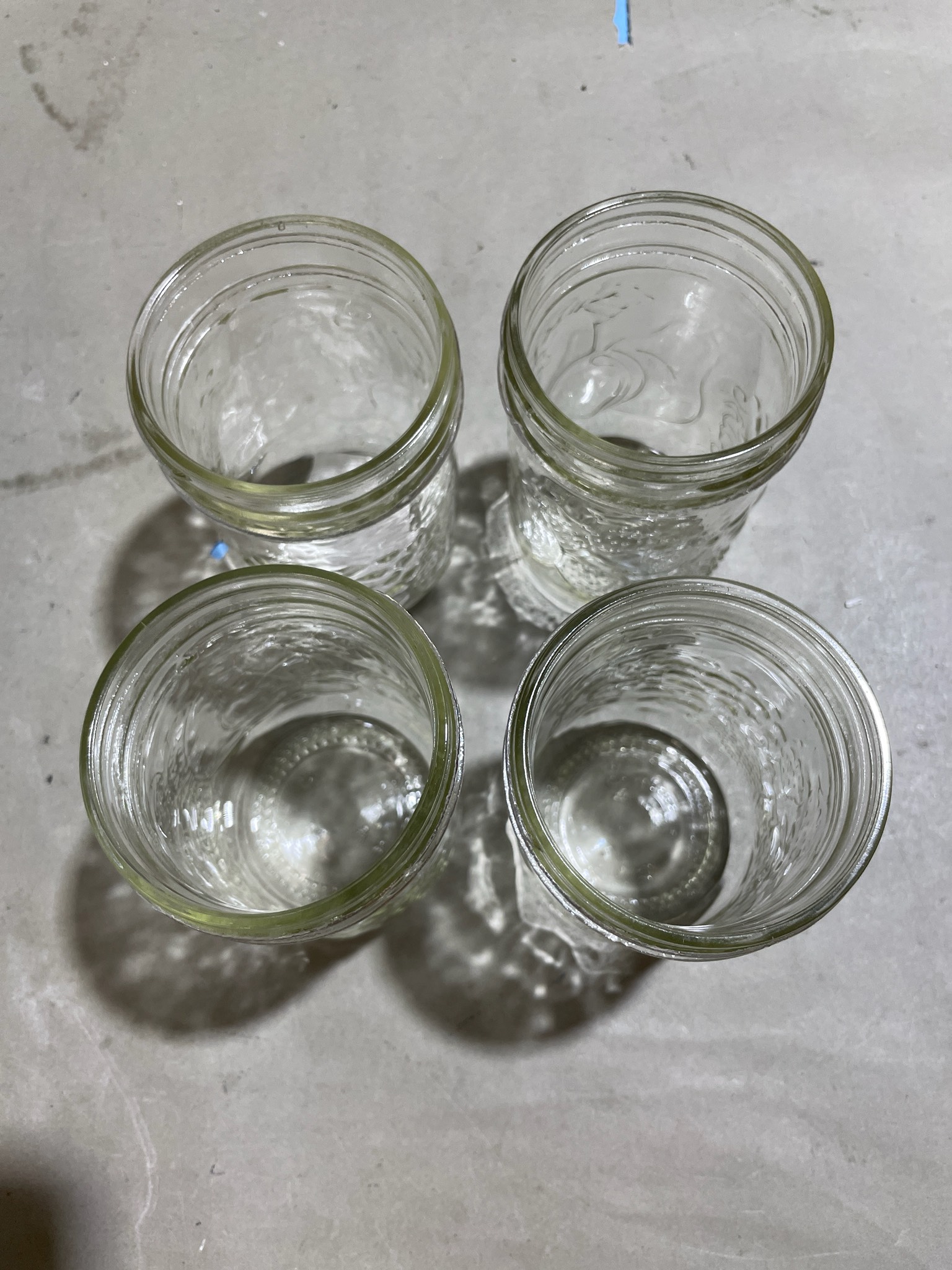 Clear Embossed Glass Jars Set of 4