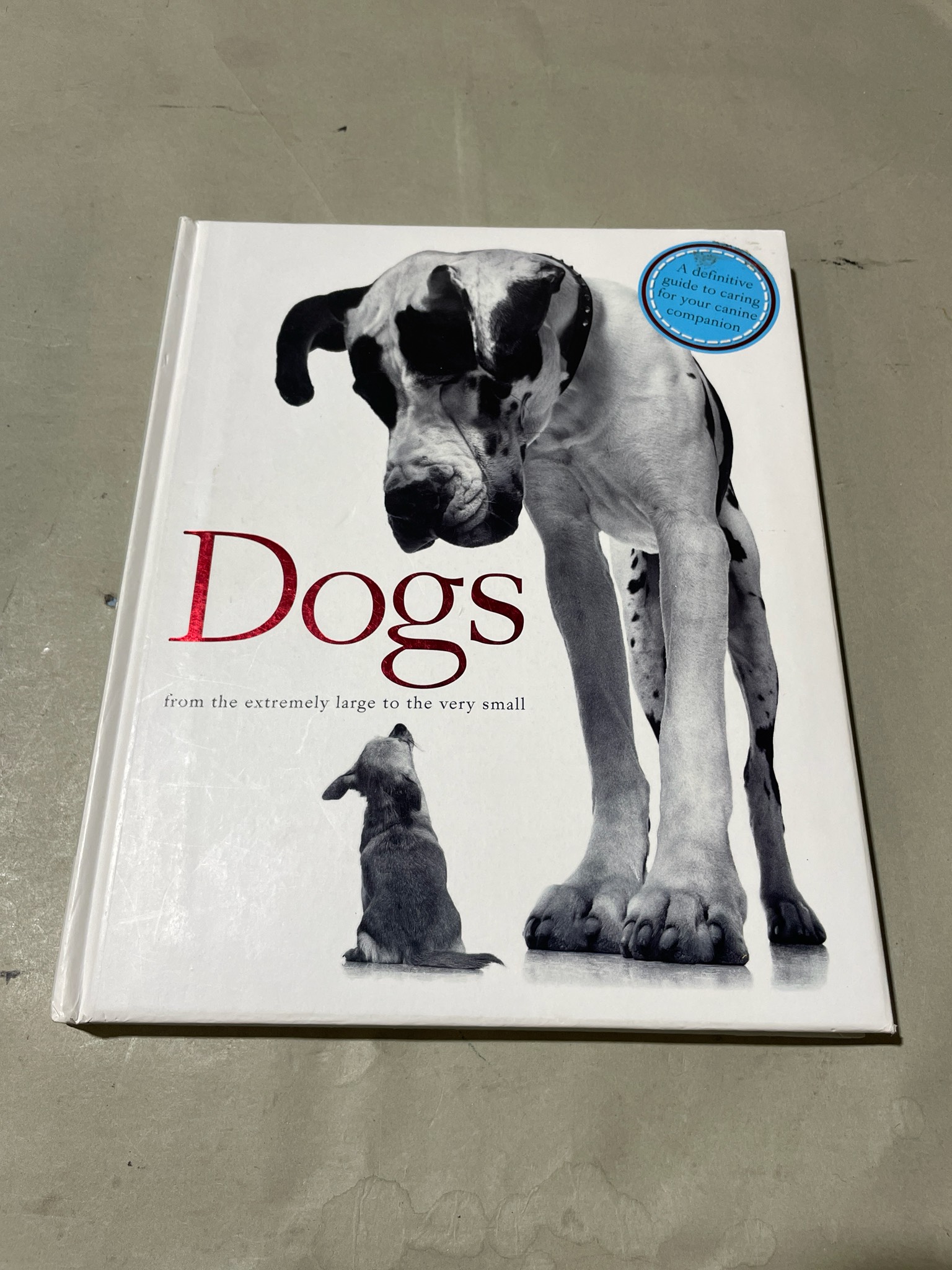 igloobooks Dogs Hardcover Book