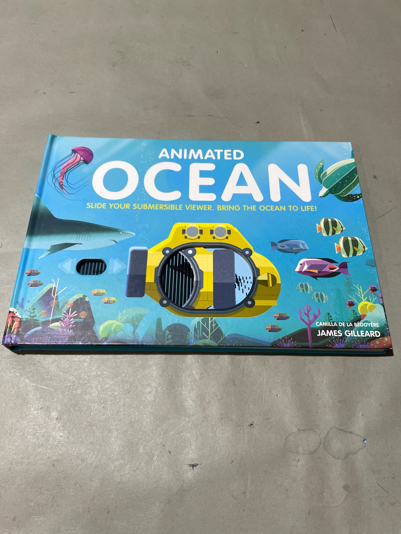 QEB Publishing Animated Ocean Board Book Size Ages 6+