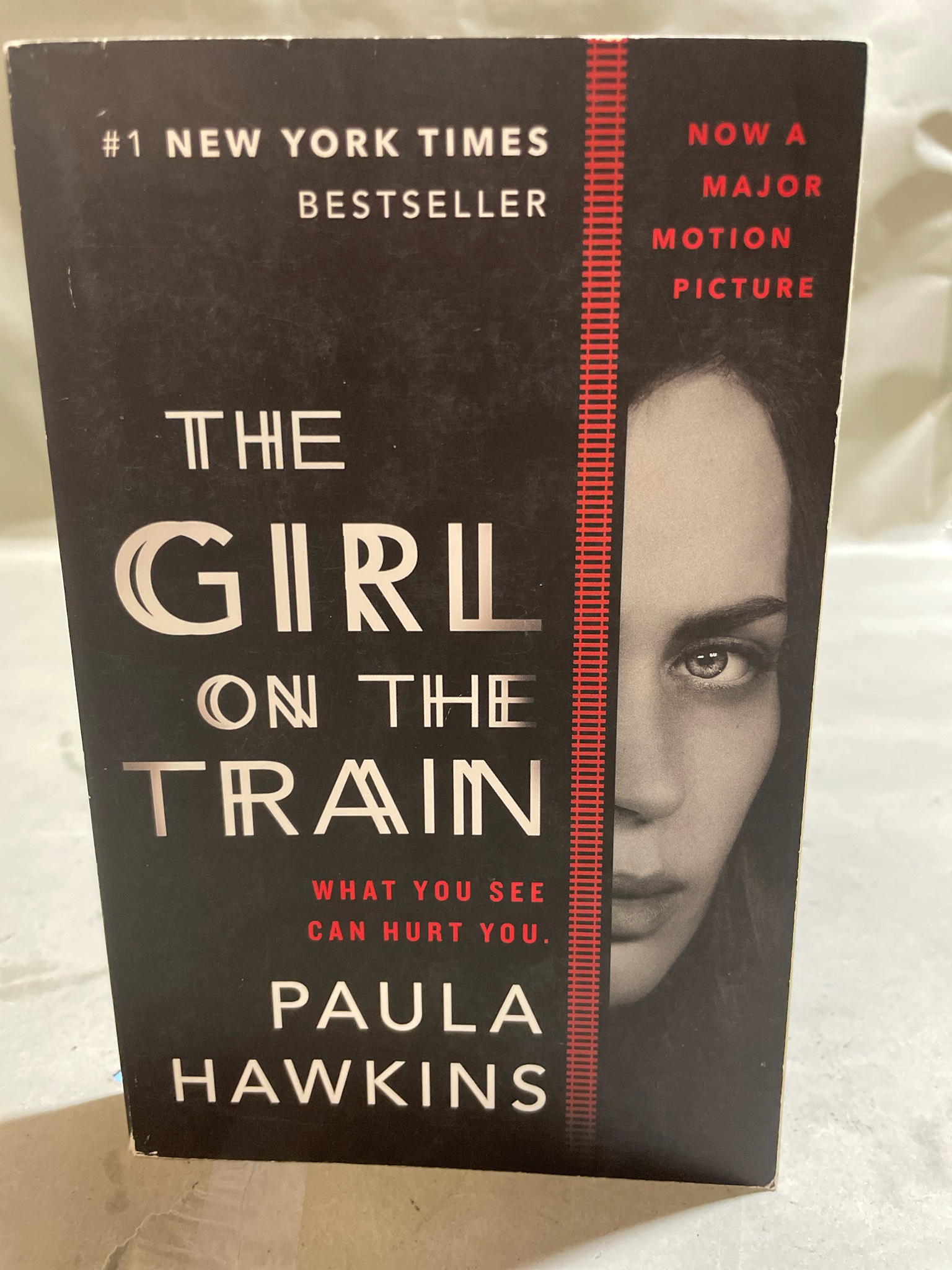 Riverhead Books The Girl on the Train Paperback