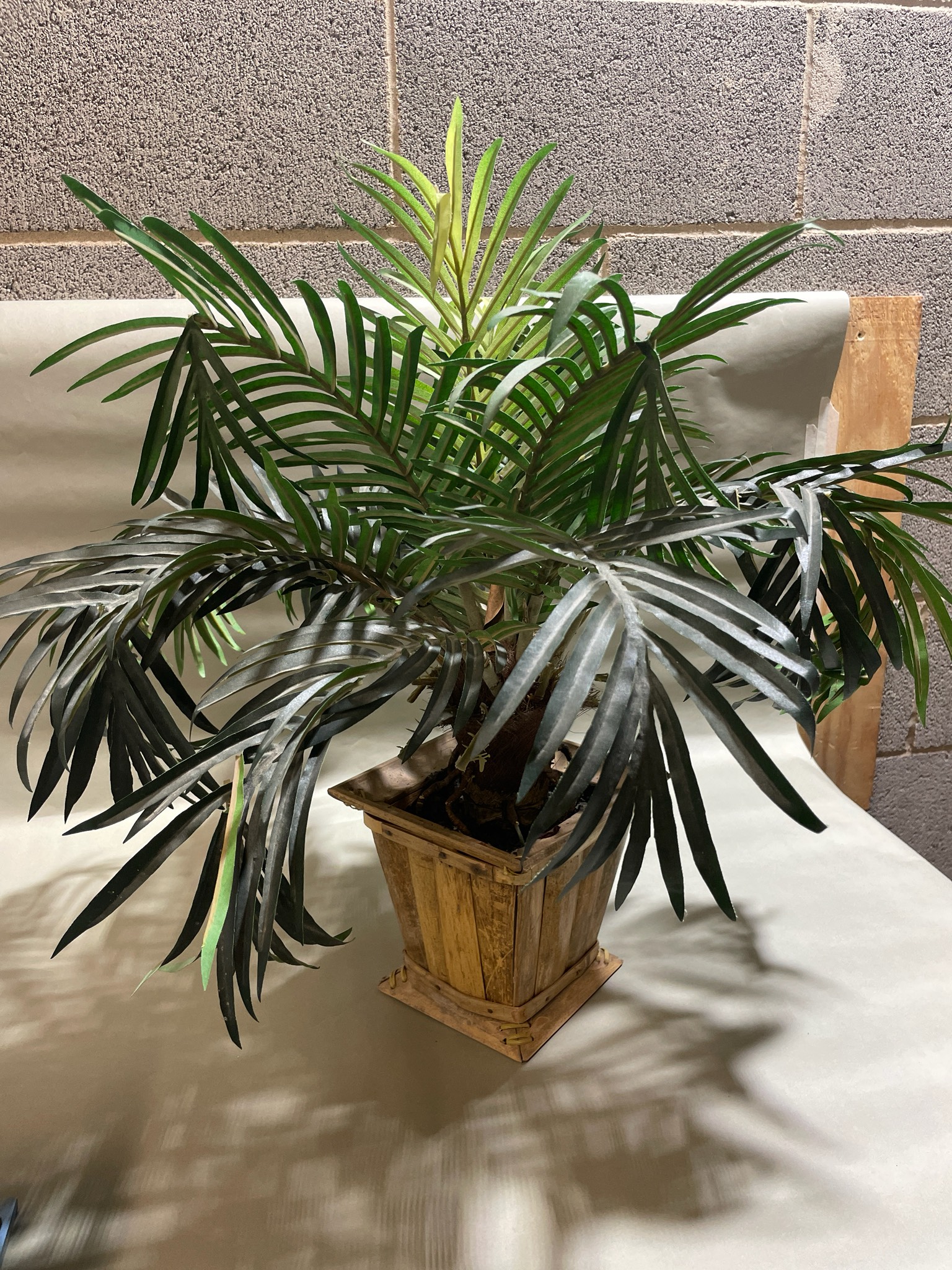 Green Palm Plant in Wooden Planter