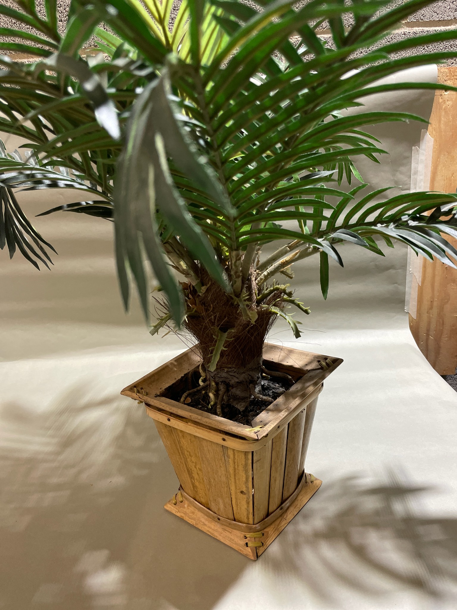 Green Palm Plant with Square Planter
