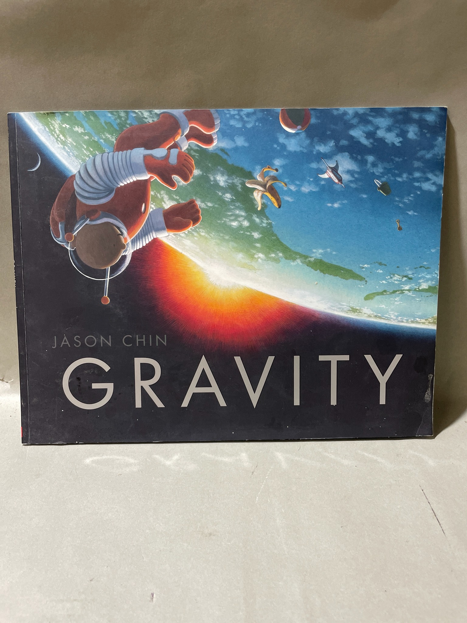 Gravity Illustrated Science Book
