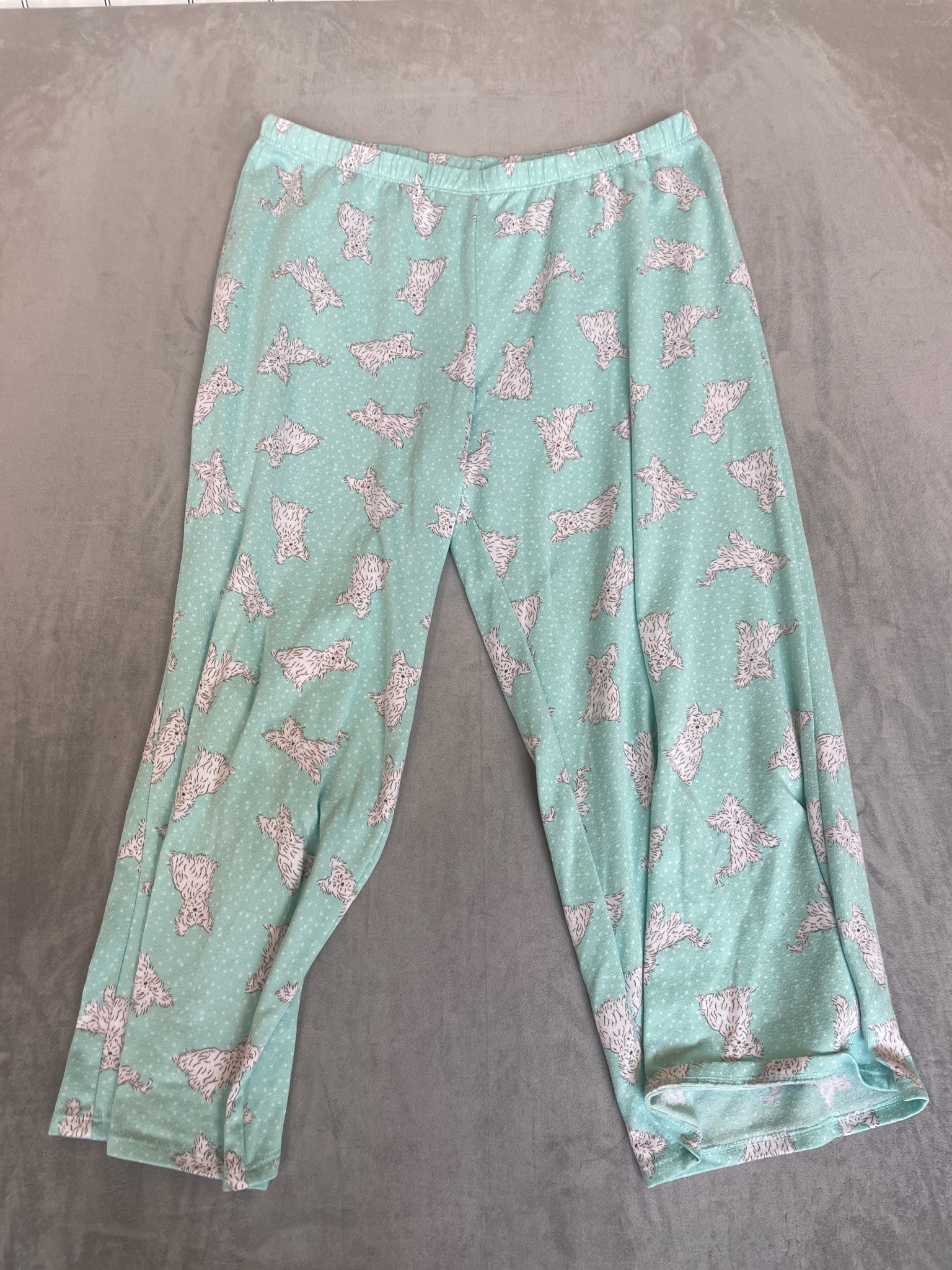 Secret Treasures Aqua Printed Pajama Pants Size M (8-10)