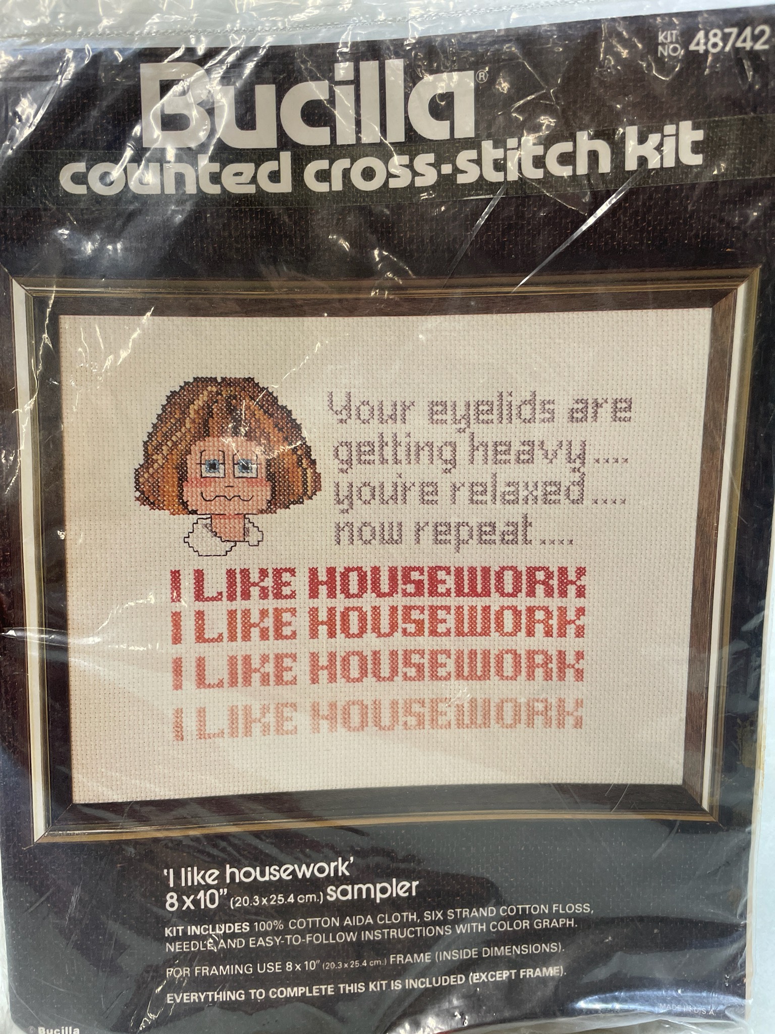 Bucilla I Like Housework Counted Cross Stitch Kit Size 8 x 10 inches