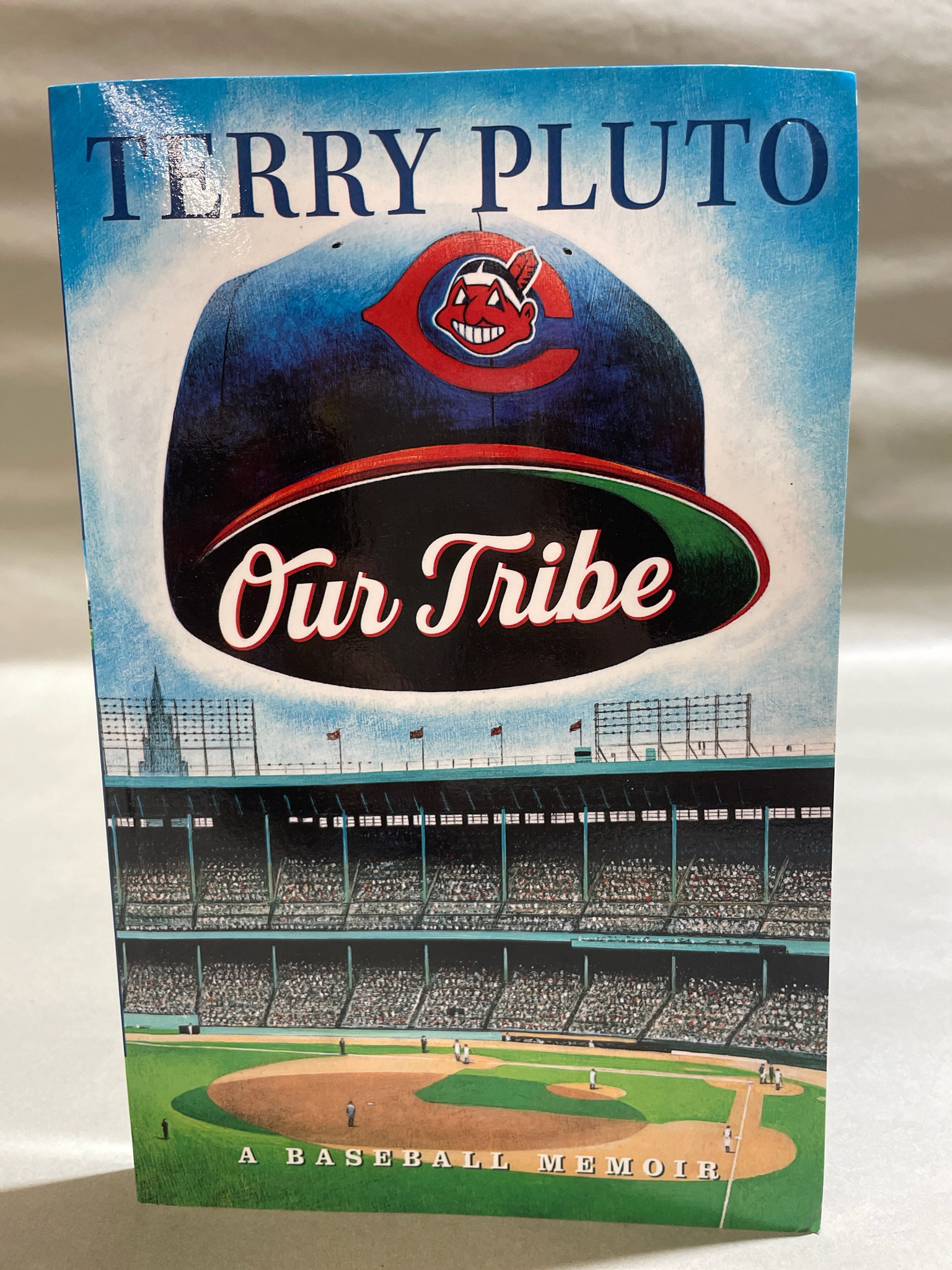 Our Tribe Baseball Memoir