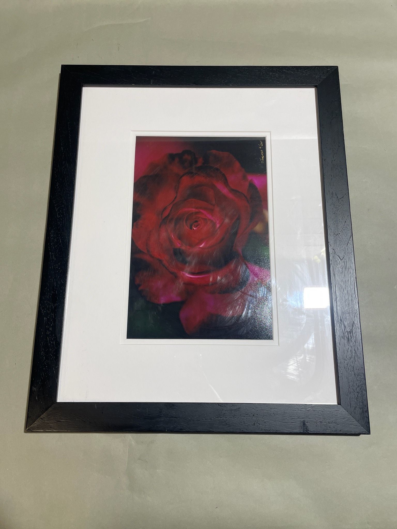 Custom Framed Tru Vue Black Framed Red Rose Photograph