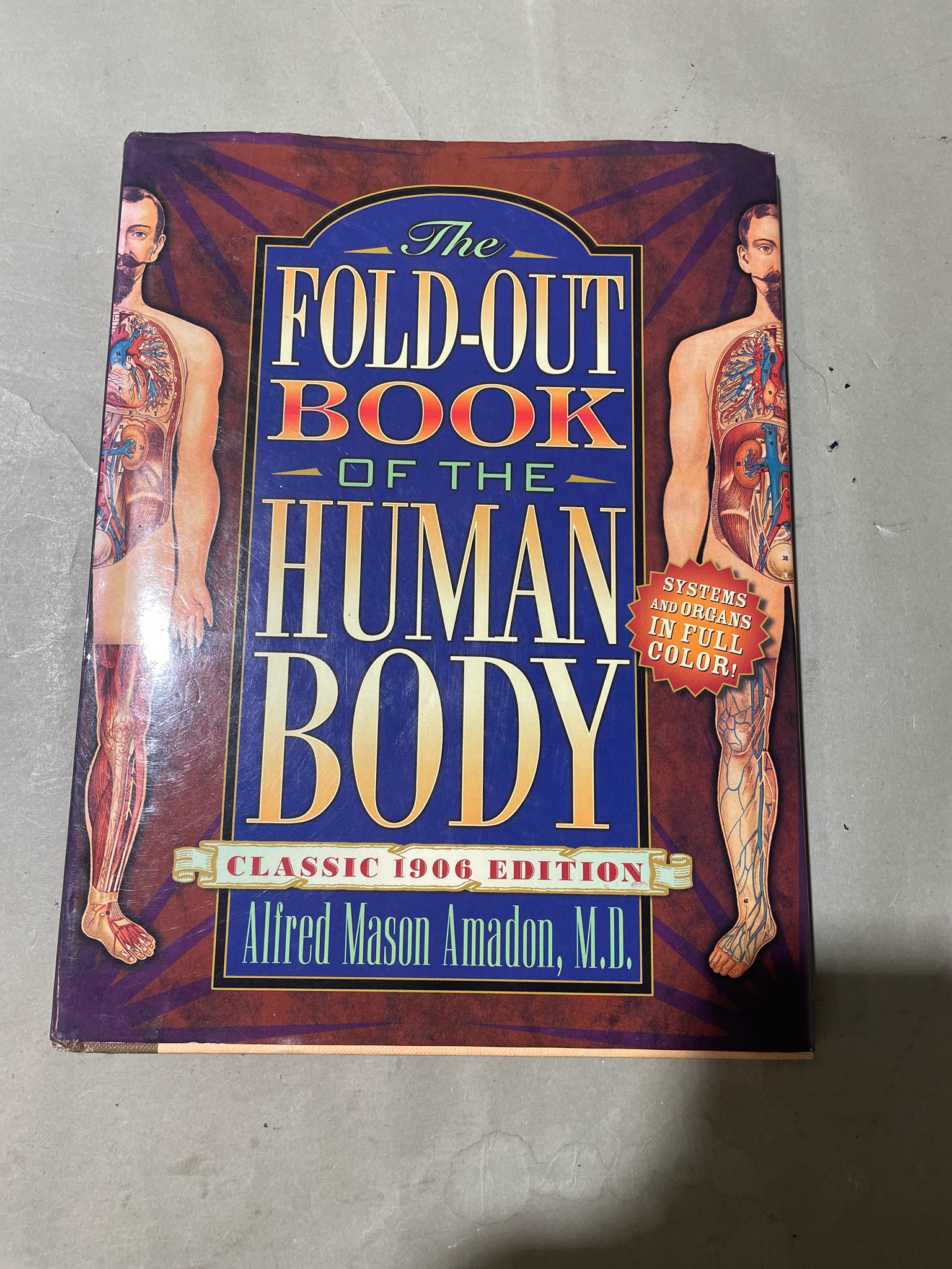 The Fold-Out Book of the Human Body