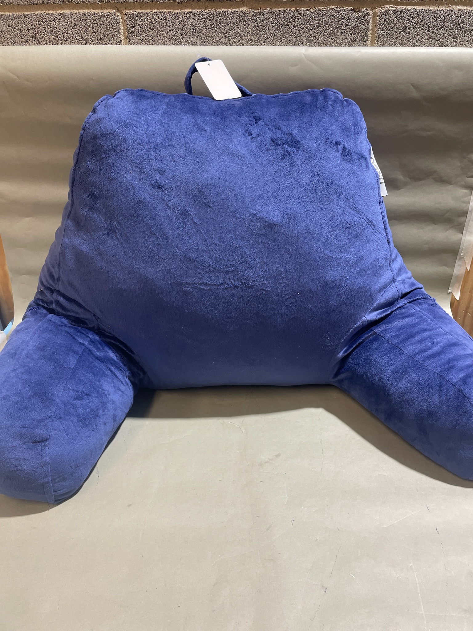Blue Plush Reading Pillow
